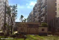 深圳汪小姐最新爆料电话,揭秘电话背后的惊人真相